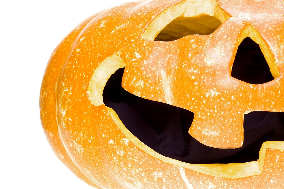 Halloween pumpkin on white