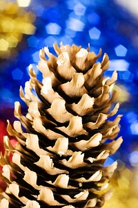 Christmas pine cone photo