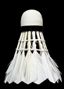 Shuttlecock photo