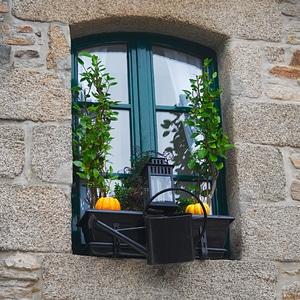 Decorated Window photo