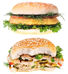 Hamburgers - One Half Eaten
