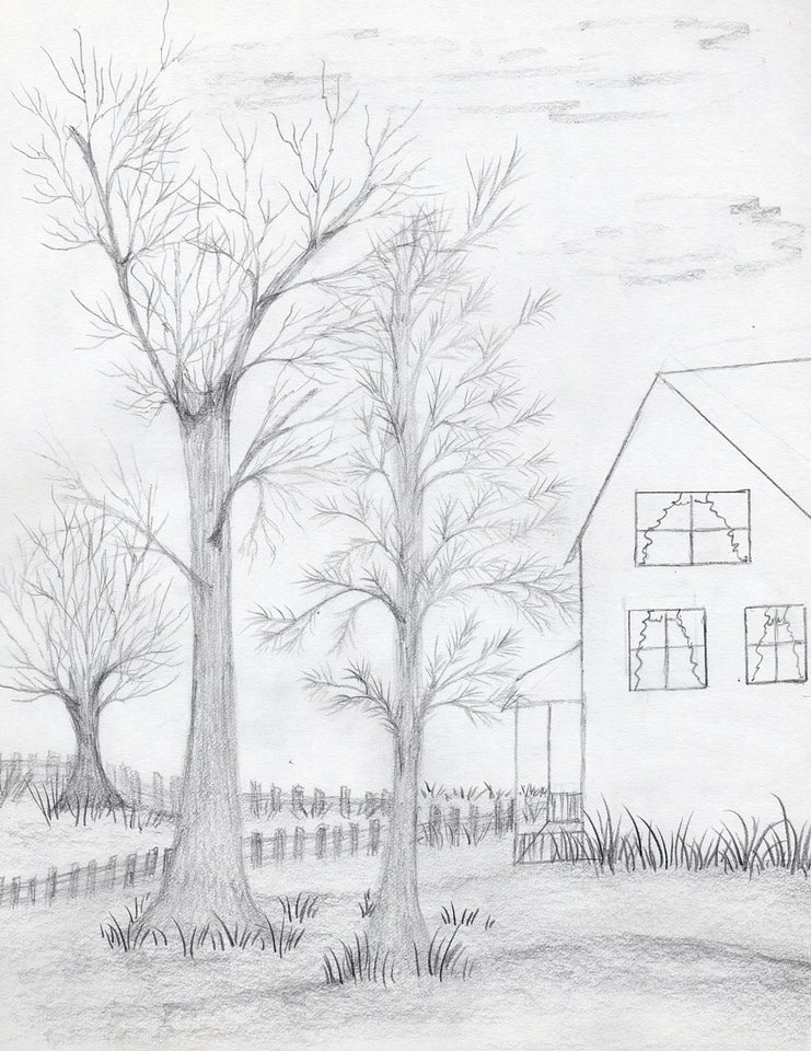 Hand Drawn Trees and House