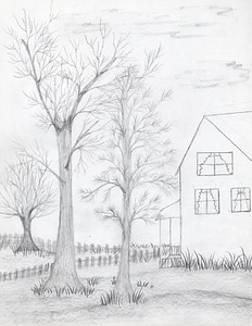 Hand Drawn Trees and House photo