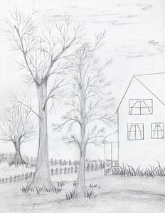 Hand Drawn Trees and House