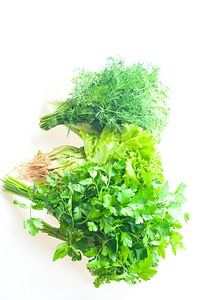 Green Parsley photo