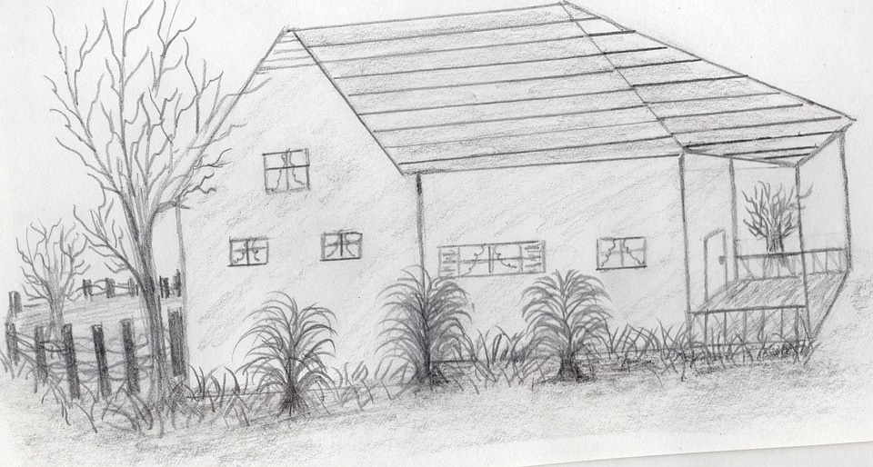 Hand drawn house with trees