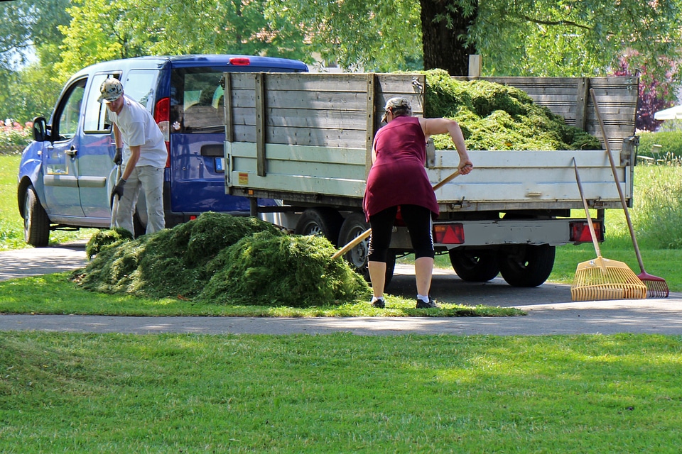Workers landscaping gardeners