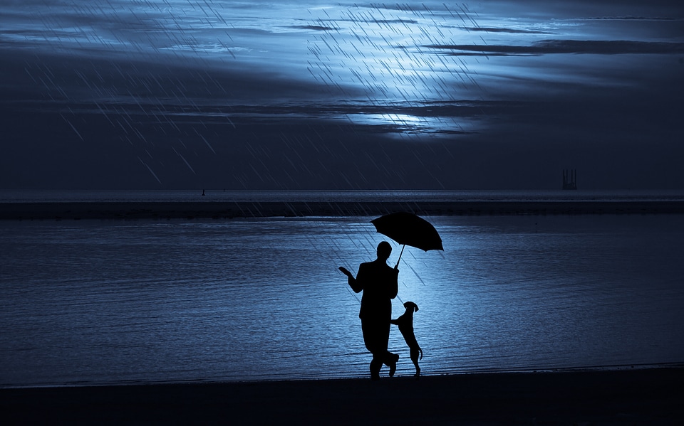Man and Dog in the Rain