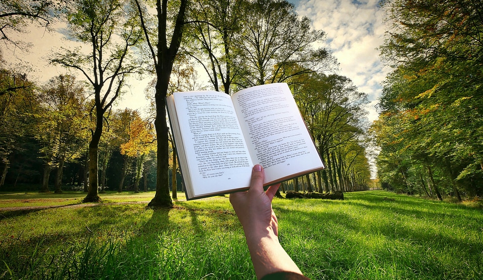 Reading Book in the Woods photo