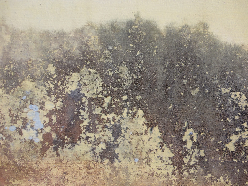 Beige Grunge Wall Texture