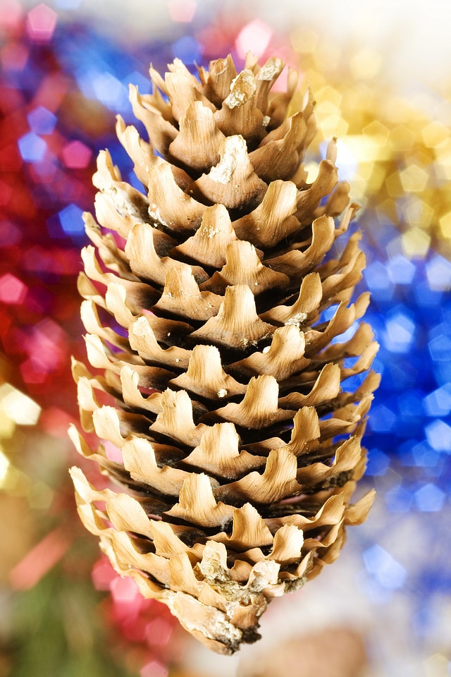 Christmas decoration
