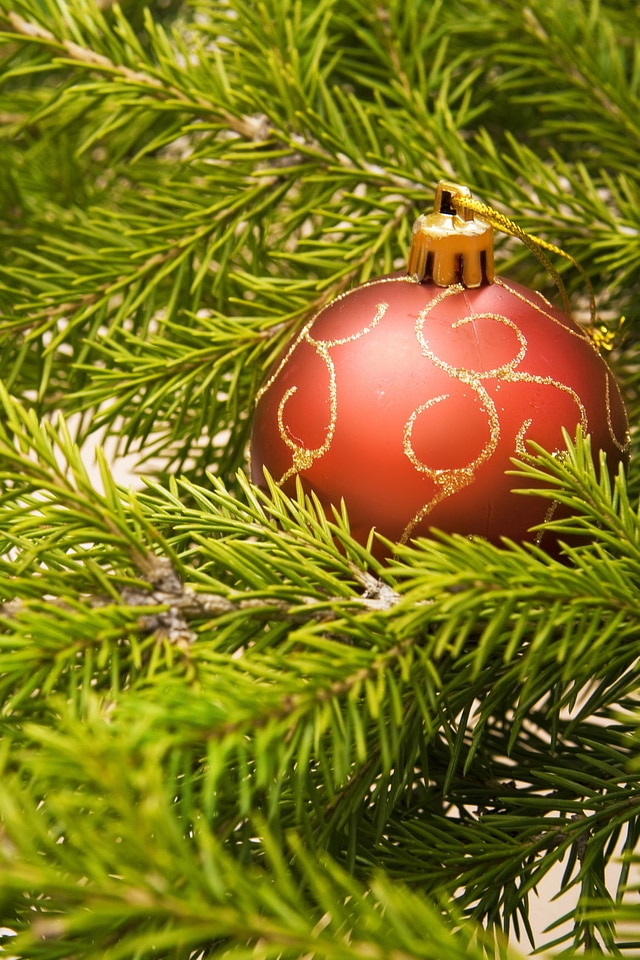 Christmas decoration