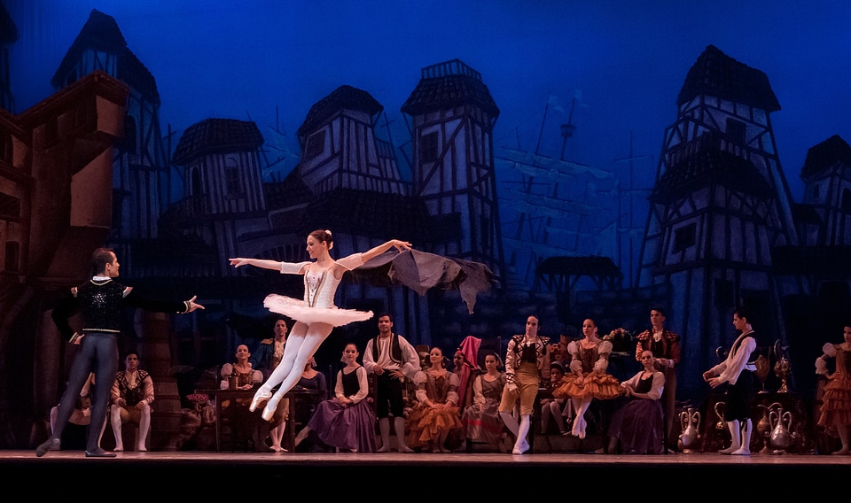 Don quixote ballerina dancer