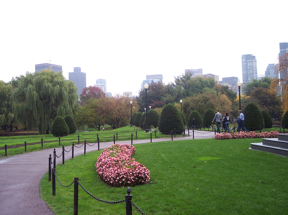 Park in Boston photo