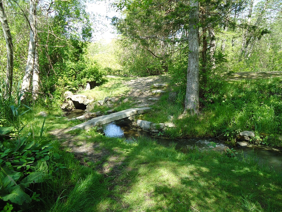 Foot Bridge over Stream