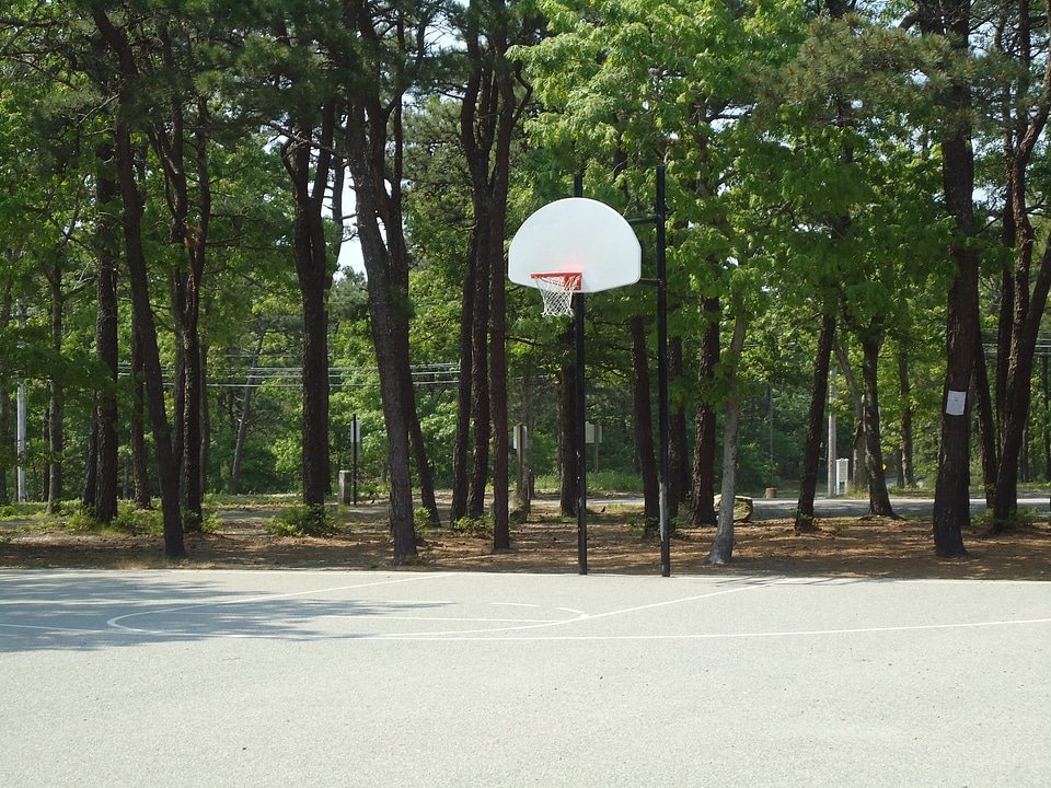 Basketball Court Hoop