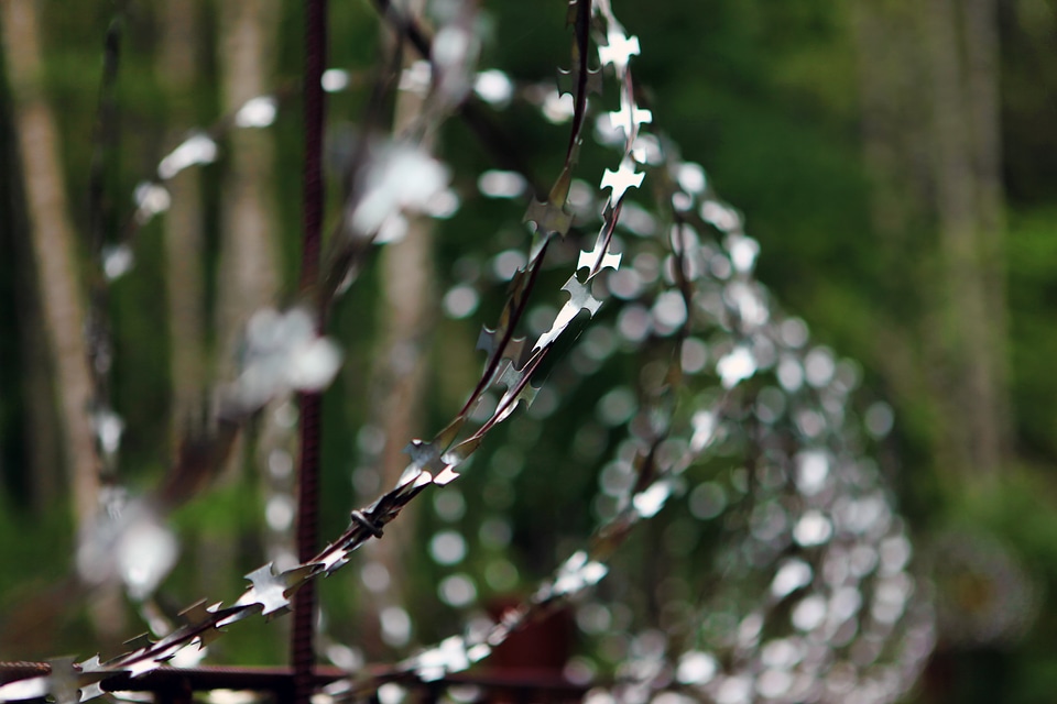 barbed wire photo