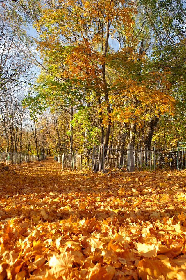 Autumn