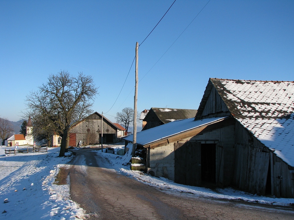 House road winter photo