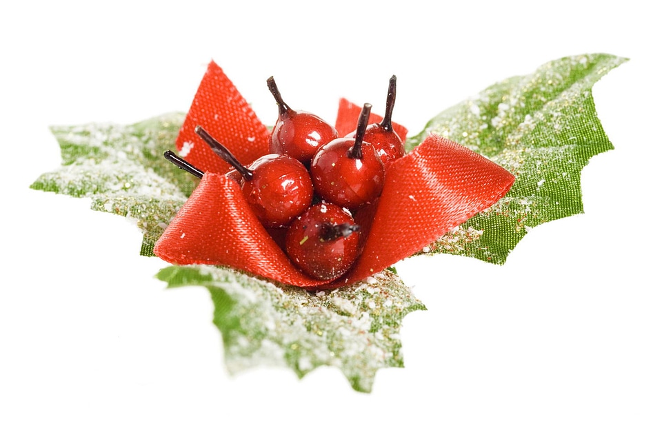 decoration european holly