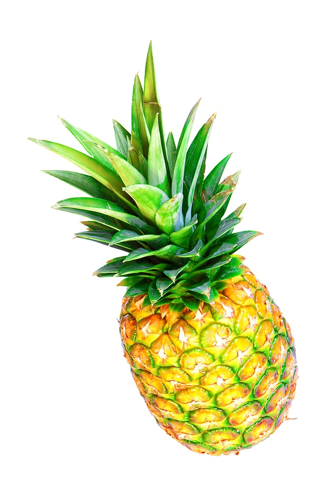 Fresh isolated pineapple
