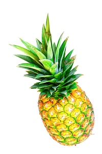 Fresh isolated pineapple photo