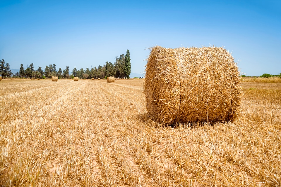 Hay bale on a summers day