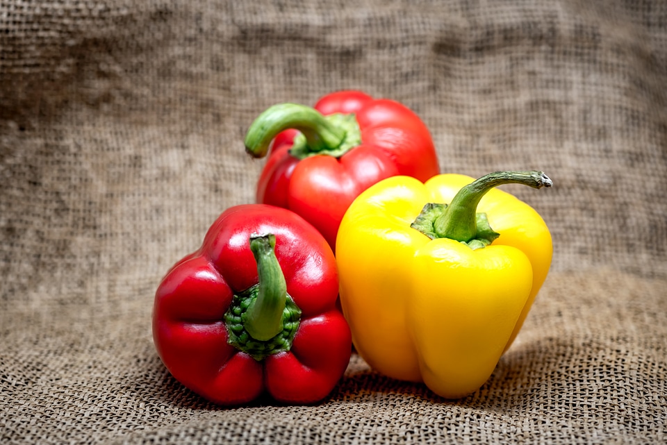 Various coloured bell peppers photo