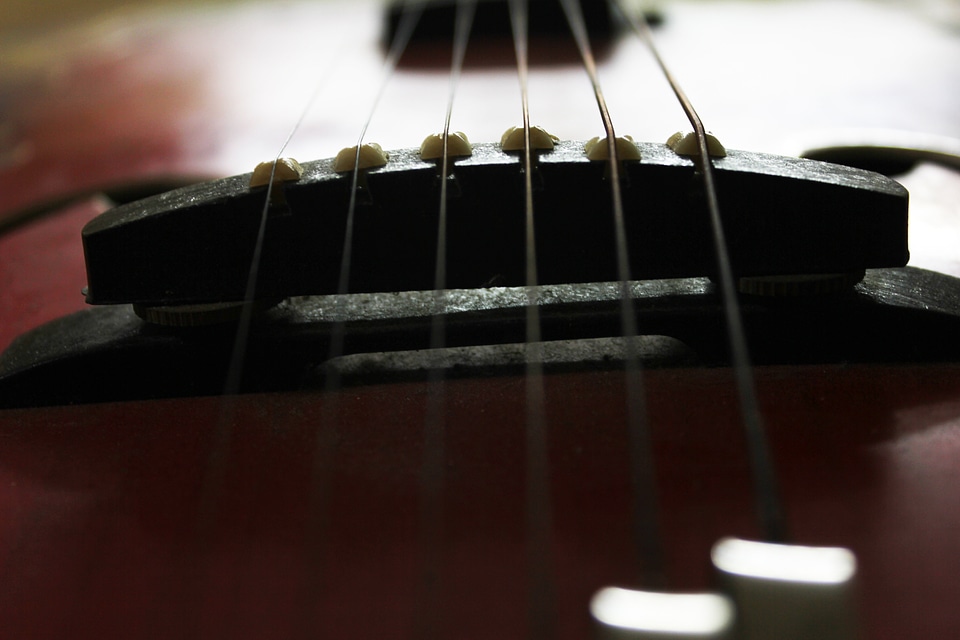 Guitar