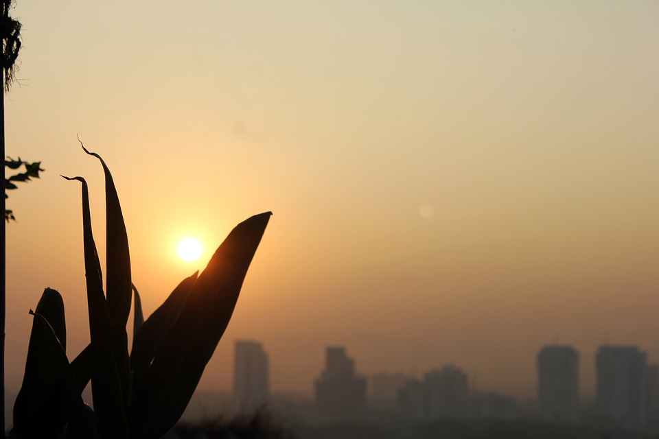 Sunrise In A City