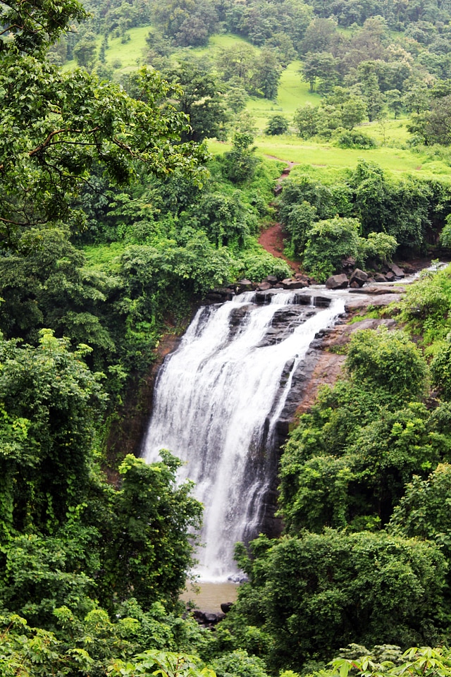 Waterfall Greenery