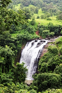 Waterfall Greenery photo