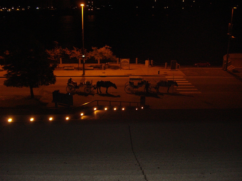 Night Horse Carriage