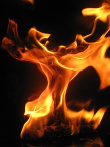 Dancing Flames photo