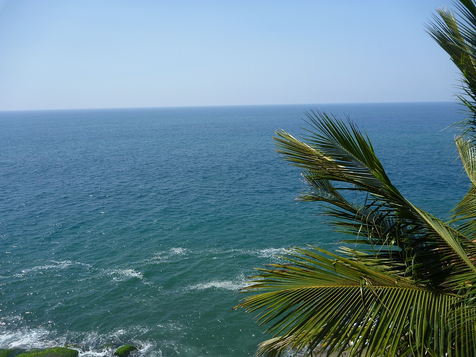 Palm Trees Dark Blue Sea