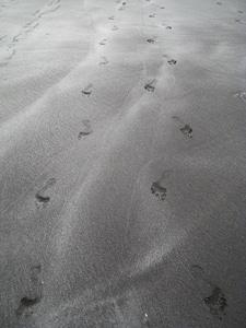 Footsteps In The Sand photo