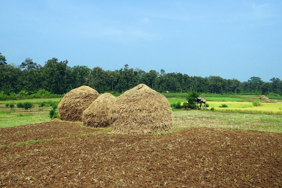 Kalghatgi dharwad india