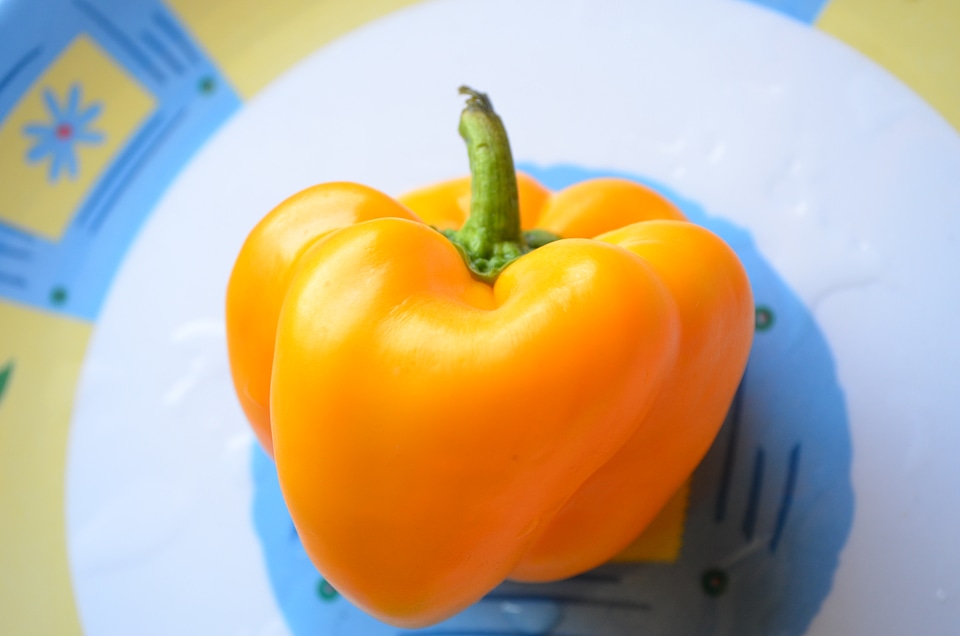 Yelllow Bell Pepper Plate