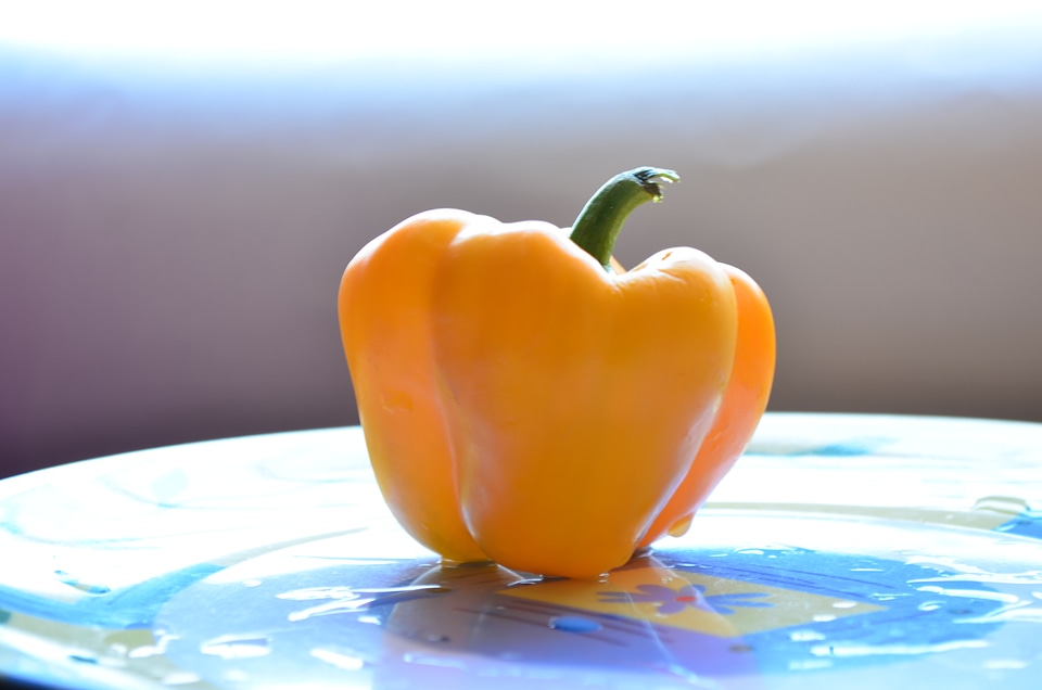 Yellow Capsicum Bell Pepper Sweet photo