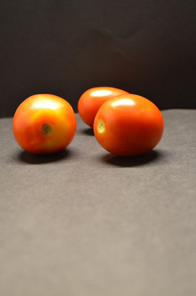 Tomatoes photo