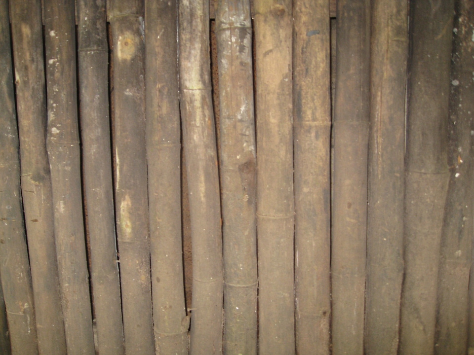 Bamboo Wall Texture