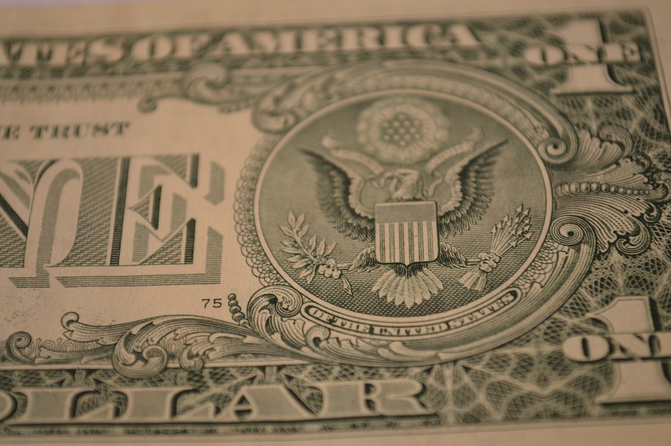One Dollar Closeup