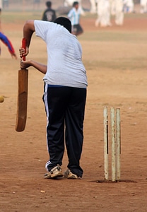 Cricket Batsman Defensive