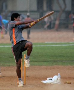 Cricket Pull Shot Batsman