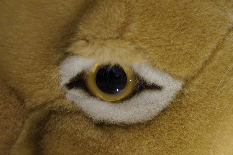 Soft toy teddy bear detail
