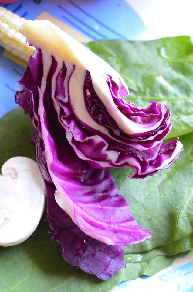 Cabbage Leaves