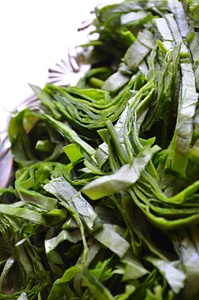 Green Leafy Vegetables Spinach photo