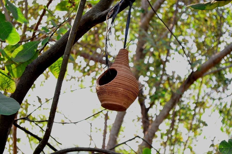 Hanging Bird House