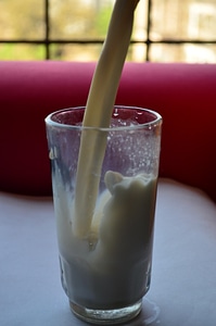 Milk In A Glass photo