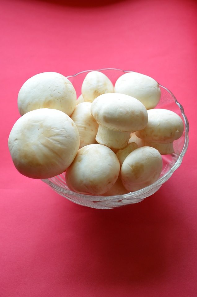 Mushroom Bowl